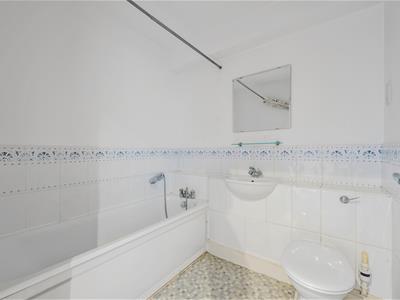 Picture 16
